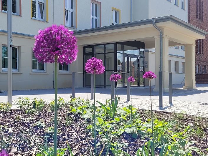 Hintergrundbild von Stadt Zehdenick